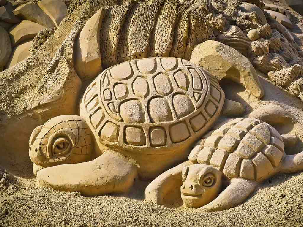 playas más cercanas a la Ciudad de México tortugas