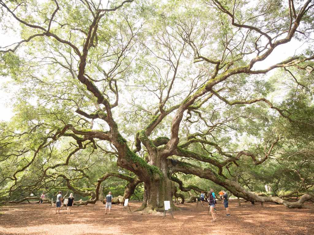 10 rincones en Estados Unidos donde puedes disfrutar de la tranquilidad al máximo 5