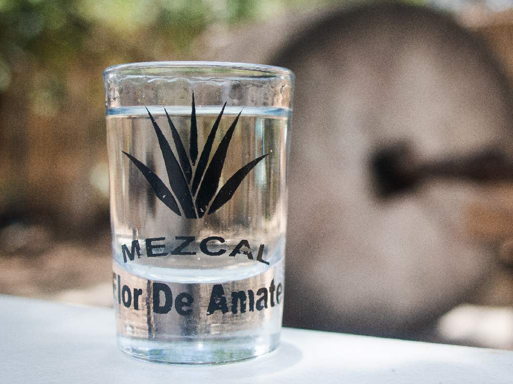 Tianguis del Pulque y la Cerveza Artesanal mezcal