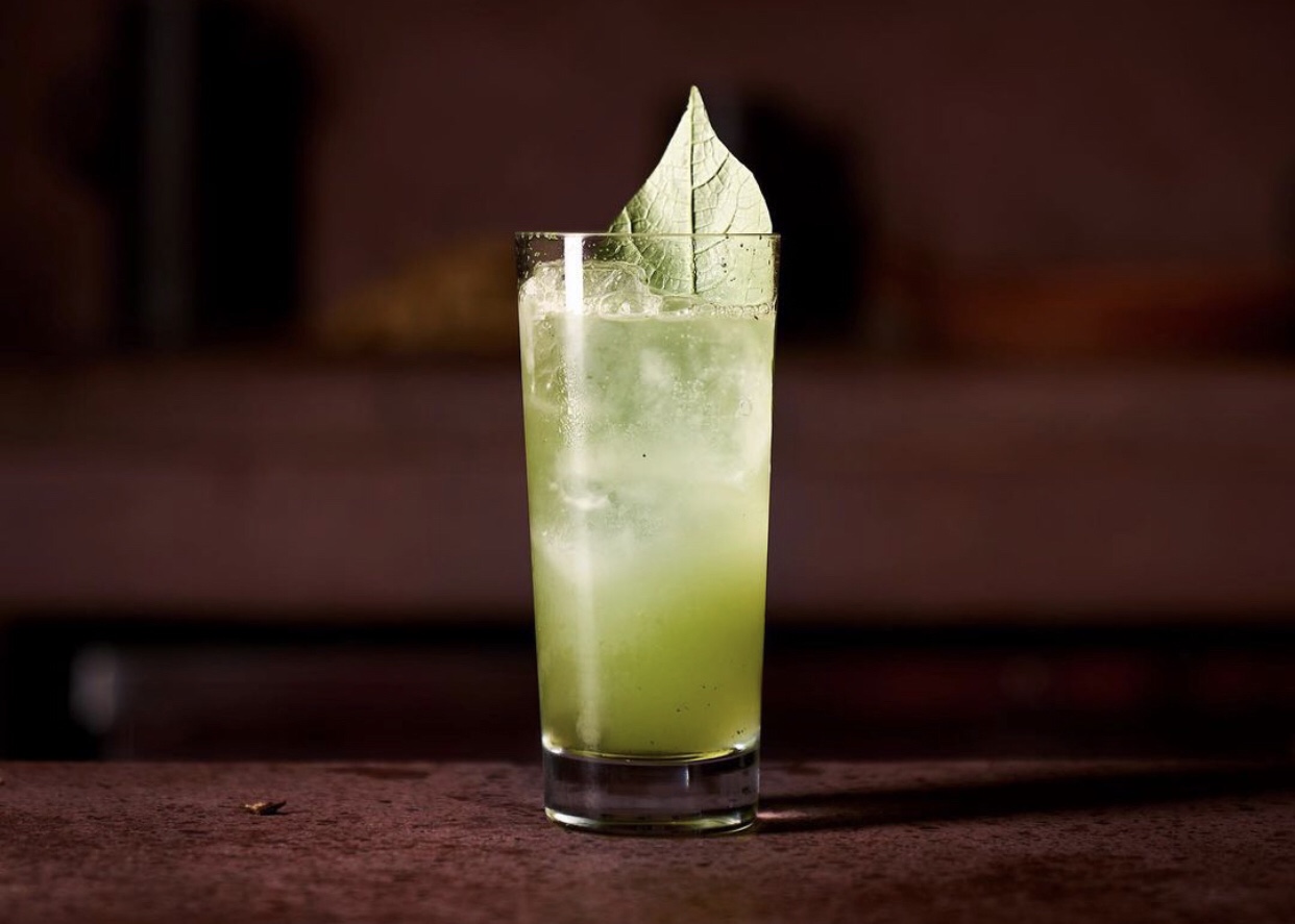 tlecan-mojito-1