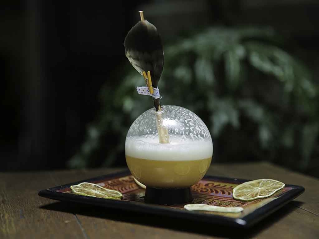 World Class Cocktail Festival 2022, actividades para celebrar la coctelería en CDMX