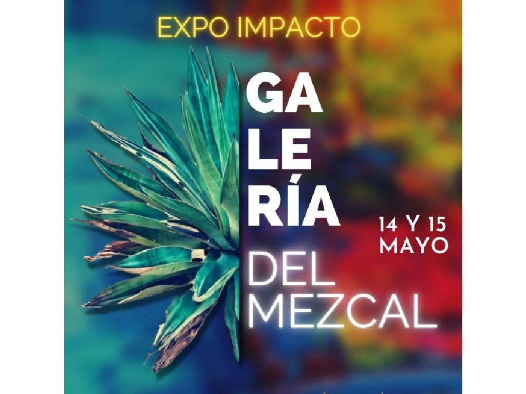 Galería del Mezcal llega a la CDMX ¡Degusta la variedad de mezcal!