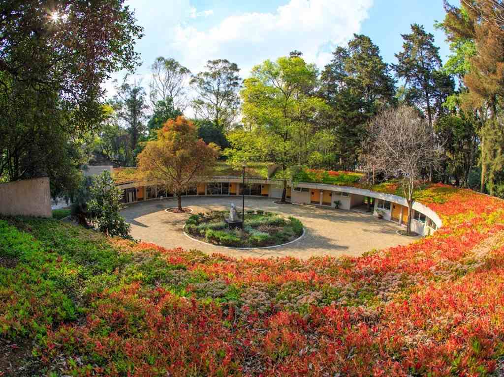 jardín botánico de chapultepec lugares studio ghibli cdmx