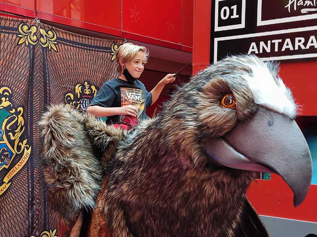 Celebra el cumpleaños de Harry Potter en el Magic Potter Day