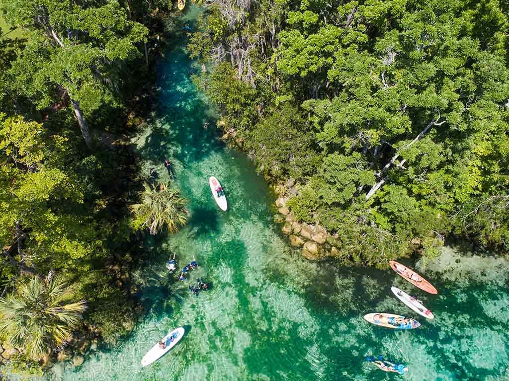 5 actividades para disfrutar en Crystal River, Florida