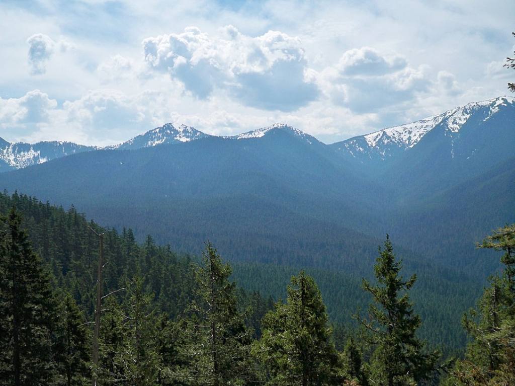 Qué hacer en el Ajusco: lánzate al bosque sin salir de la CDMX