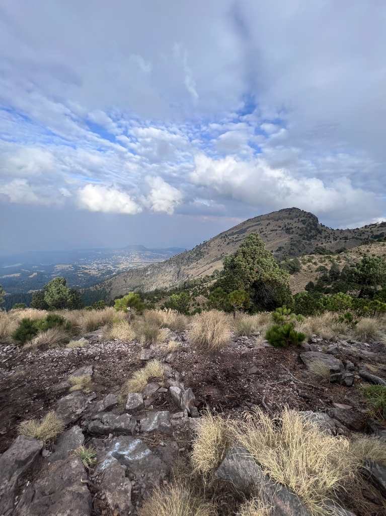 Qué hacer en el Ajusco: lánzate al bosque sin salir de la CDMX 