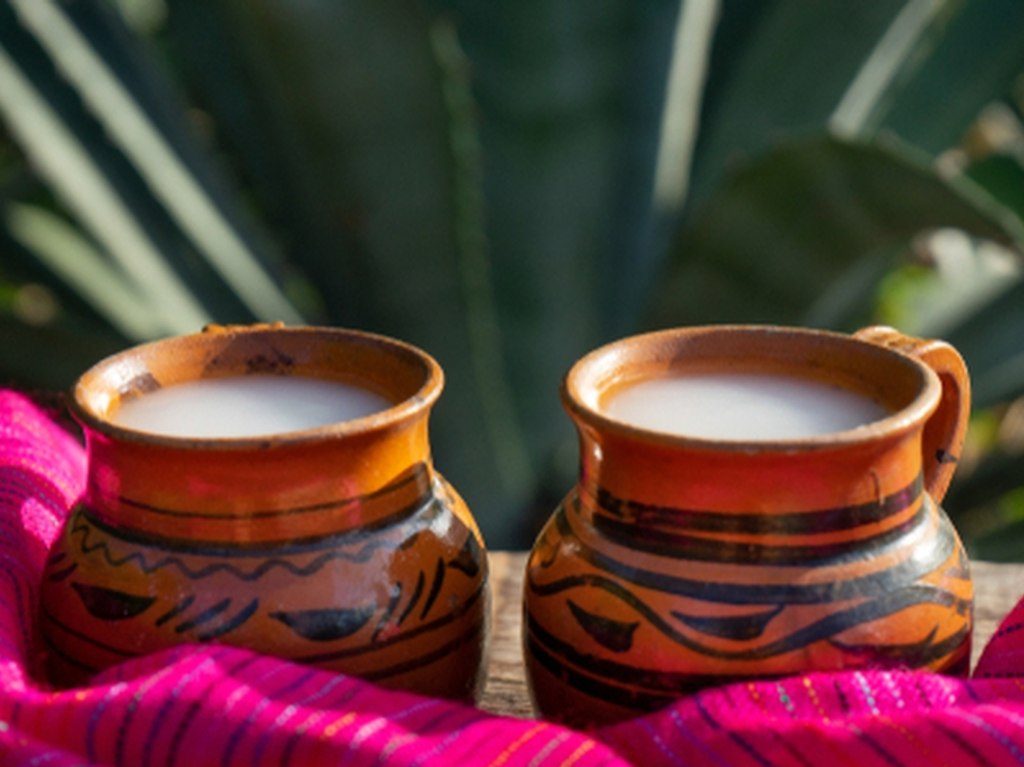 Pulque en la Feria del Tlacoyo 2023