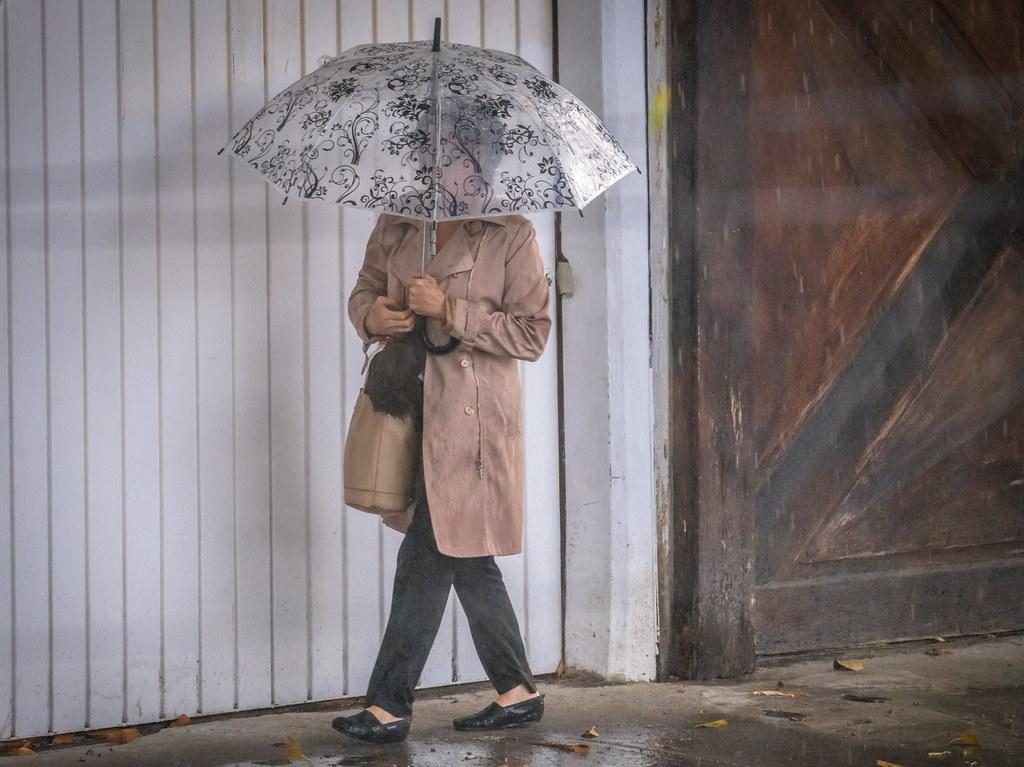 ¡Saca tu impermeable! Habrá lluvias por la tarde-noche en la CDMX