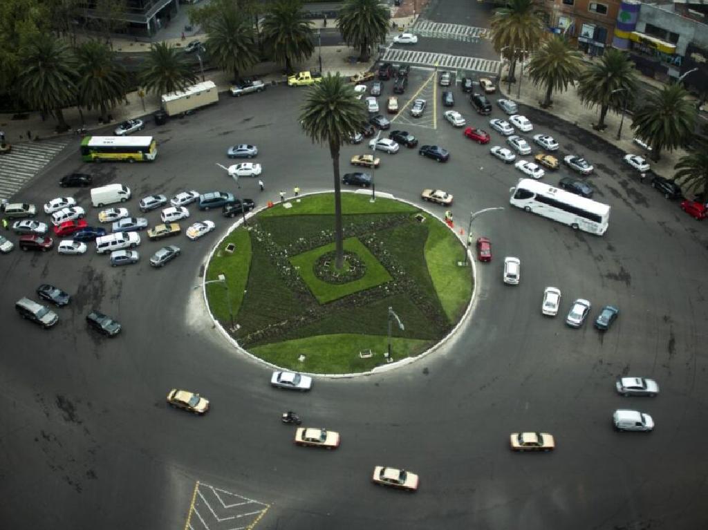 ¡Tenemos Ahuehuete! Este será el reemplazo en la ex Glorieta de la Palma