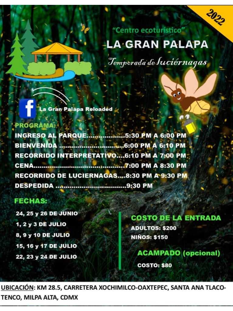 Dónde ver luciérnagas en CDMX 