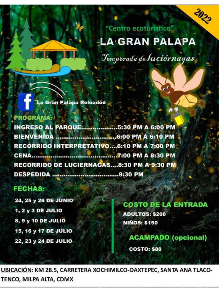 donde-ver-luciernagas-cdmx