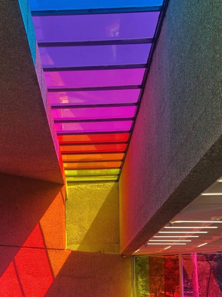 Museo Tamayo: tres exposiciones temporales para celebrar el Mes Del Orgullo