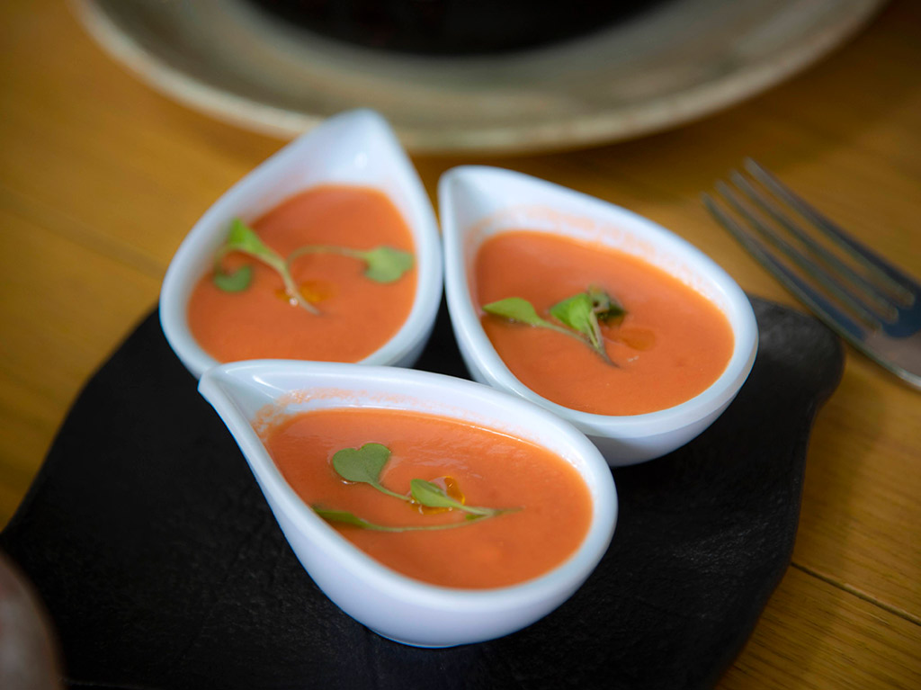 salsa-de-tomate-come-rico-bebe-un-drink-delicioso-y-disfruta-de-una-magica-tarde-en-catorze