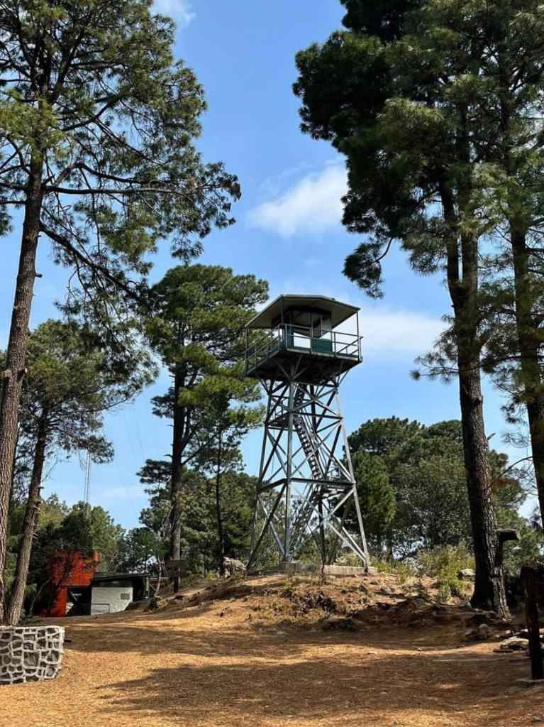 Guía de actividades en el Ajusco: lánzate explorar el volcán Xitle y sus cráteres