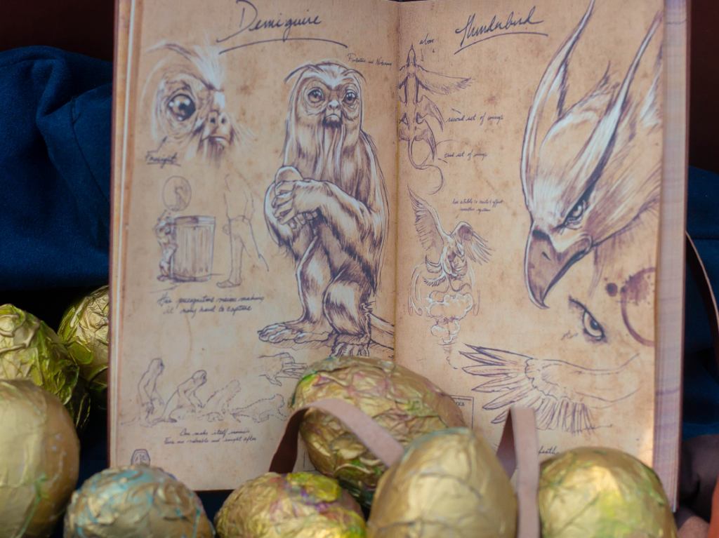 animales-fantasticos-festival-harry-potter