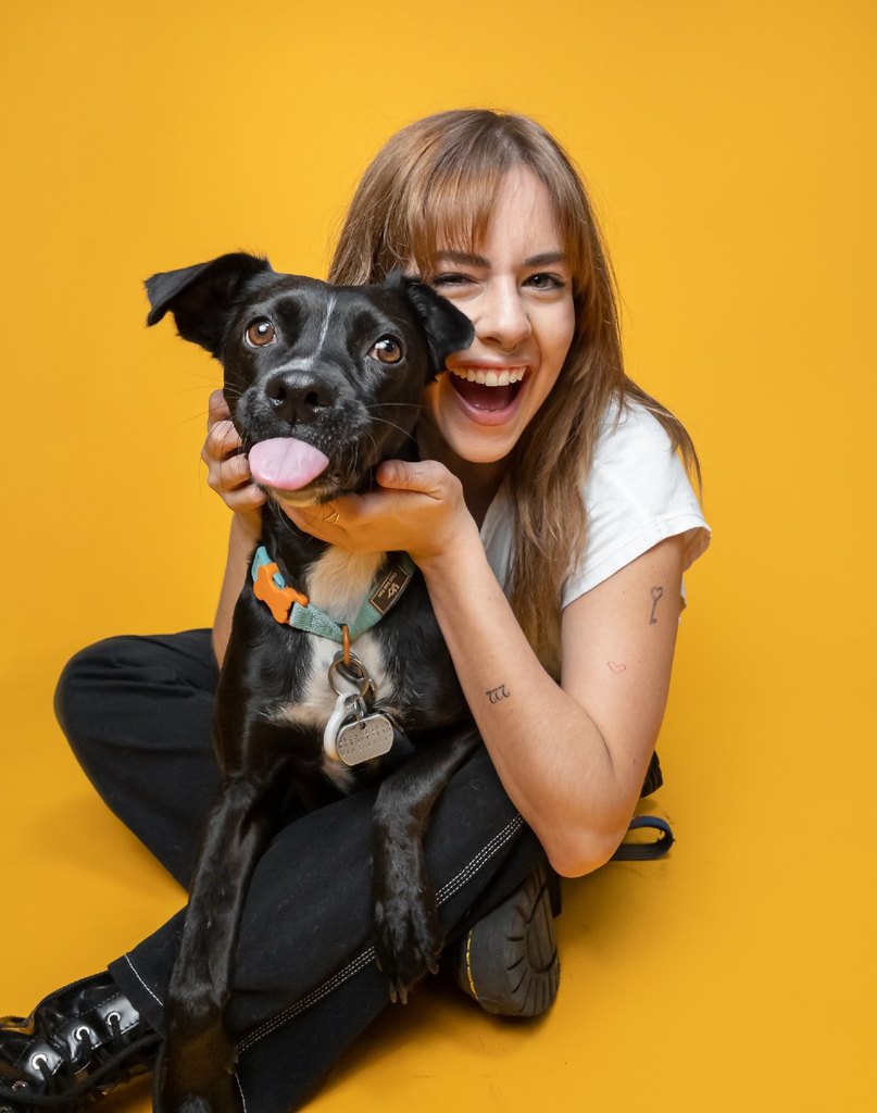 campana-adoptist-iphone-perro-callejero-diego-