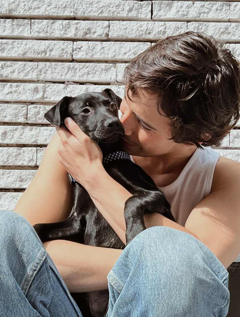 campana-adoptist-iphone-perro-callejero-fer-