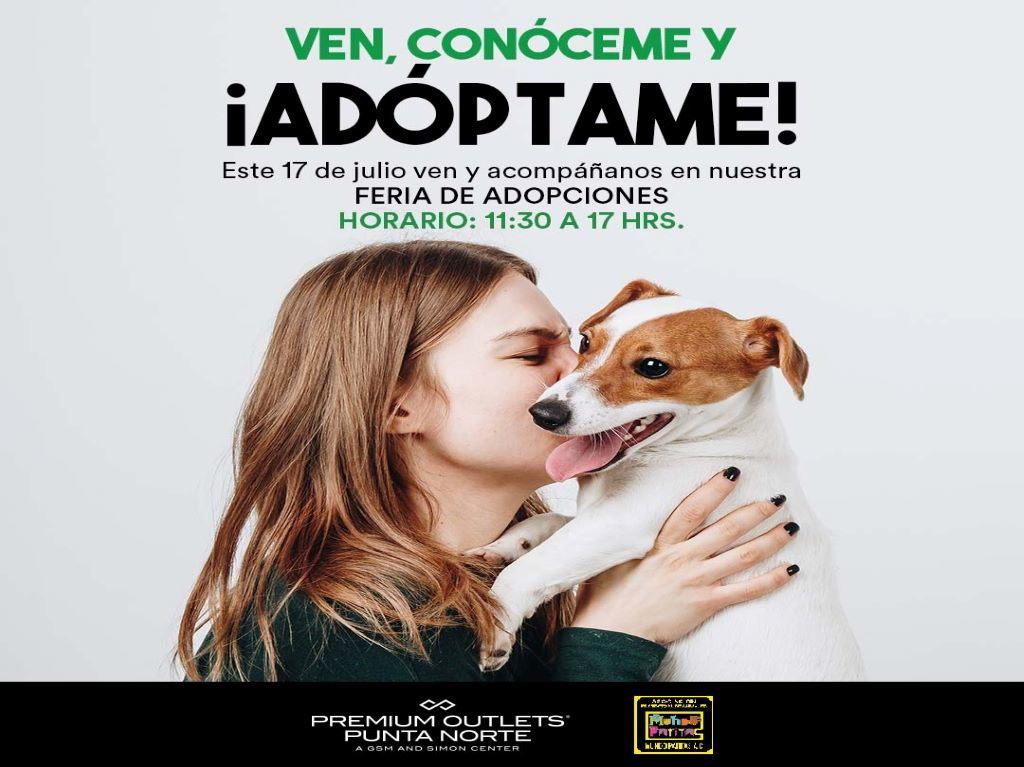 feria-adopcion-perros-premiums-outlets-