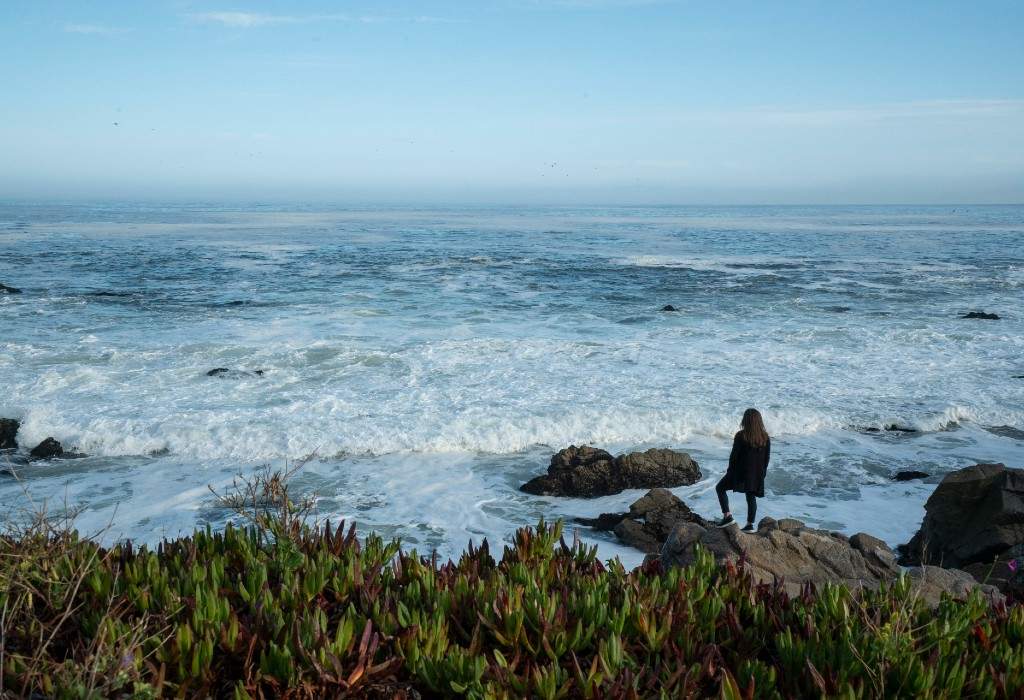 monterey-california-verano-estados-unidos-