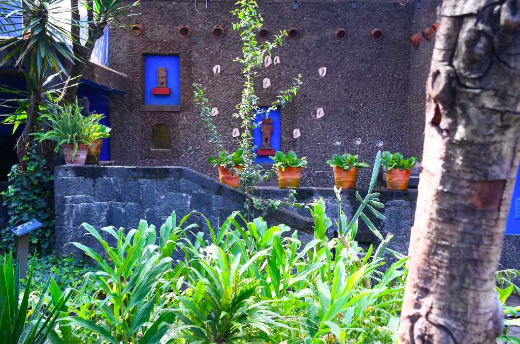 museo-frida-kahlo-jardin