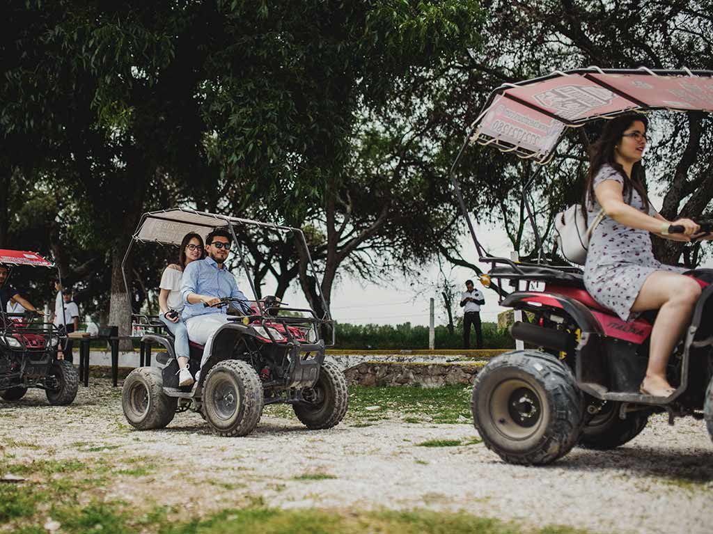 ¡Ya llegó el Festival de la Vendimia 2022! Entre quesos, vinos y más
