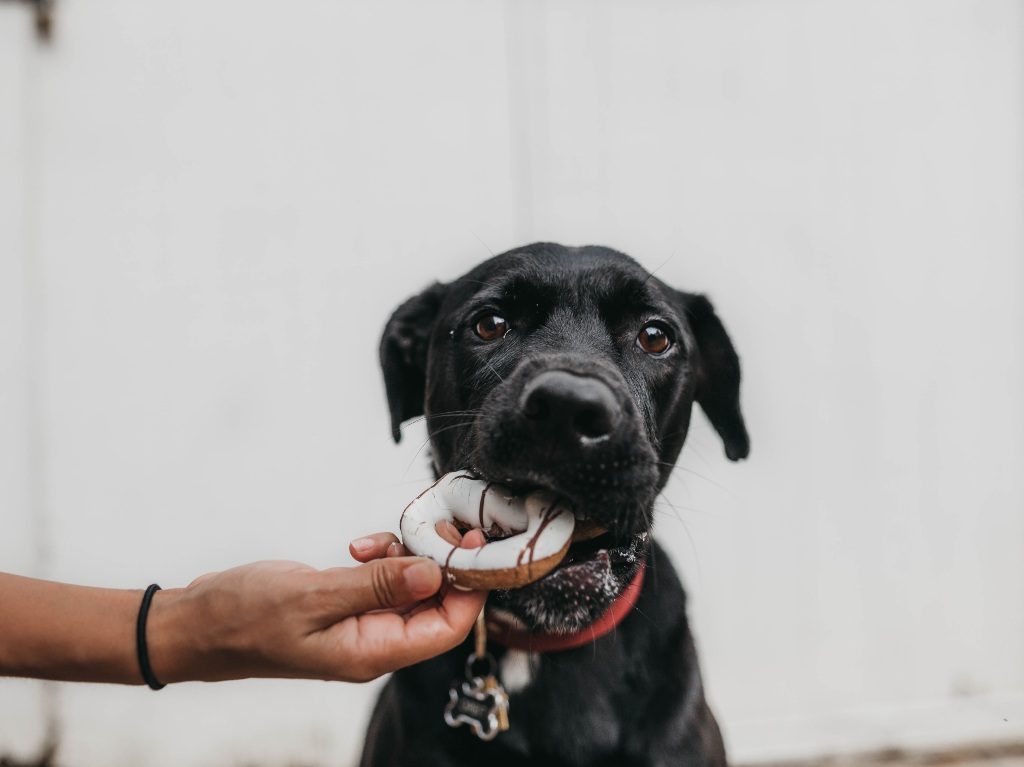 Este es el menú del primer restaurante de perros en cdmx