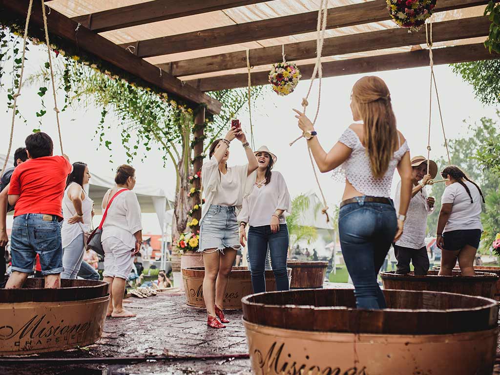 pisado-de-uvas-ya-llego-el-festival-de-la-vendimia-2022-entre-quesos-vinos-y-mas