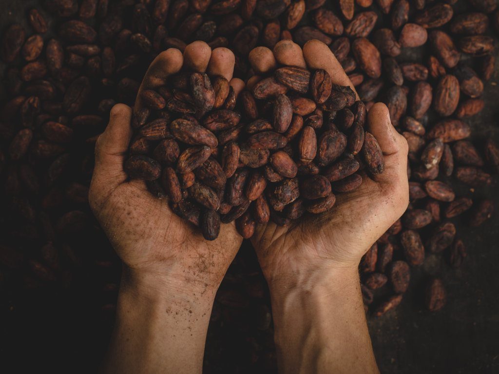 Teobromina Bliss: ceremonia de cacao y un banquete cannábico en CDMX 1