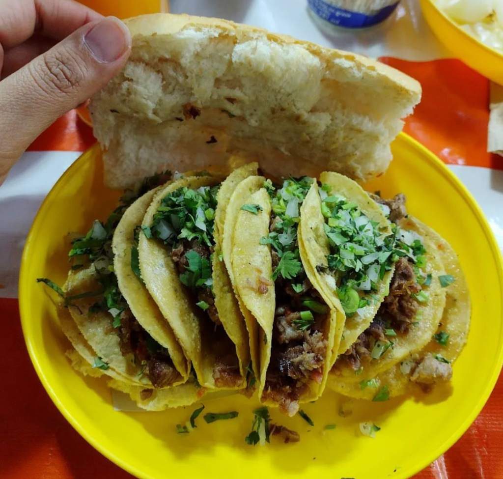 Torta de tacos: el antojito mexicano que te hace falta probar 
