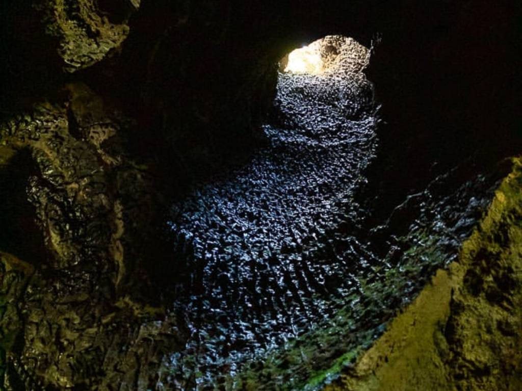 Guía de actividades en el Ajusco: lánzate explorar el volcán Xitle y sus cráteres