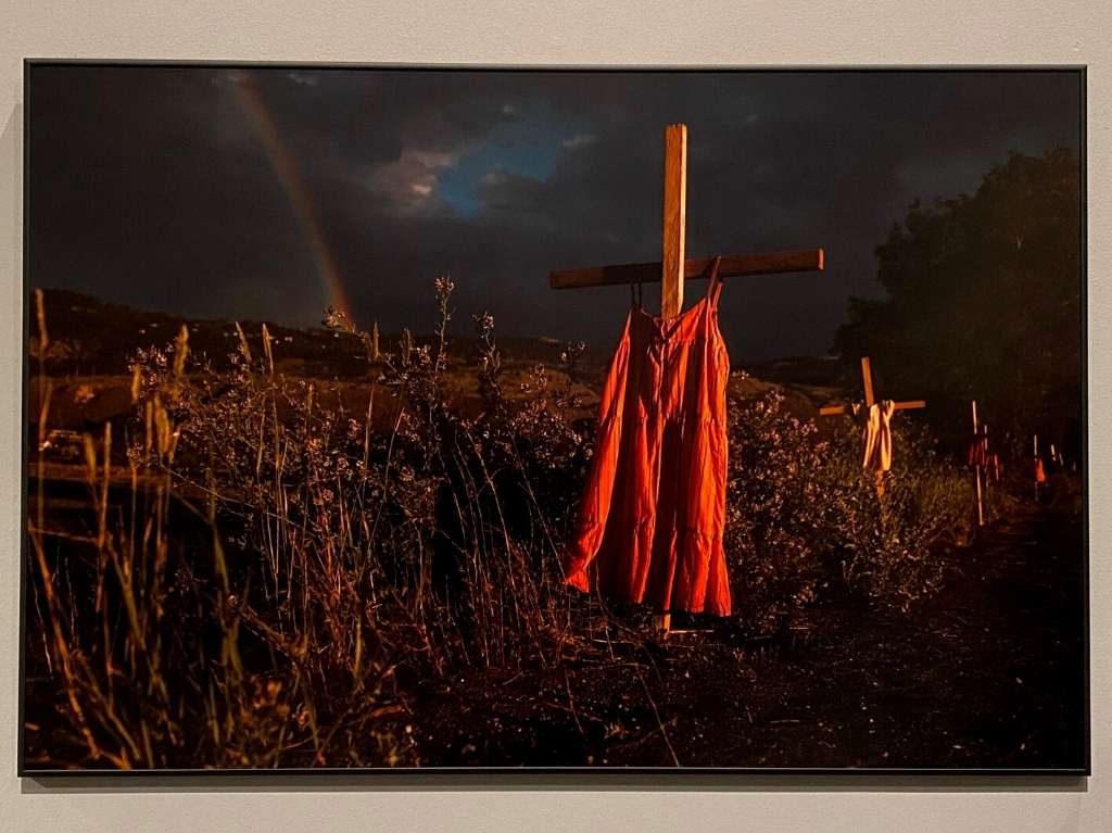 World Press Photo 2022 llega al Museo Franz Mayer 2