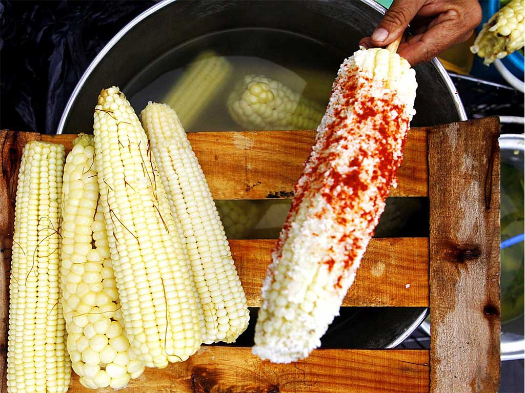 ¡Ya esta aquí! Feria del Elote 2022 en la CDMX: esquites, nieves y más