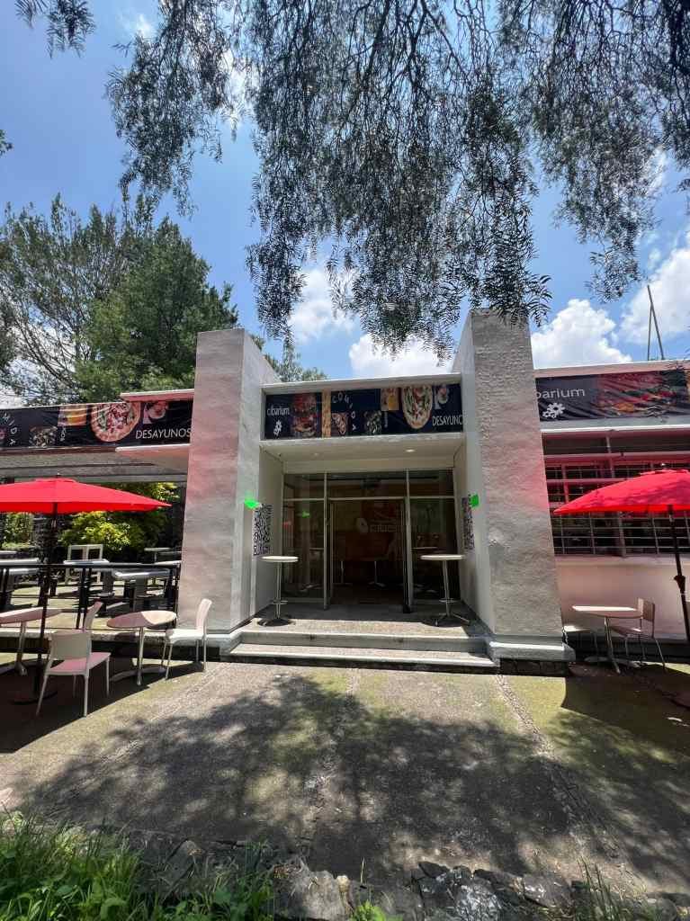 Dónde Ir a comer en la UNAM