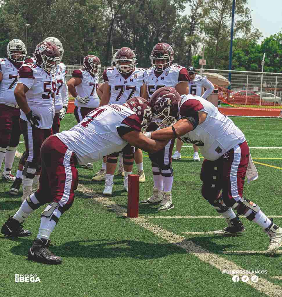 futbol-americano-liga-mayor-burros-blancos-ipn-