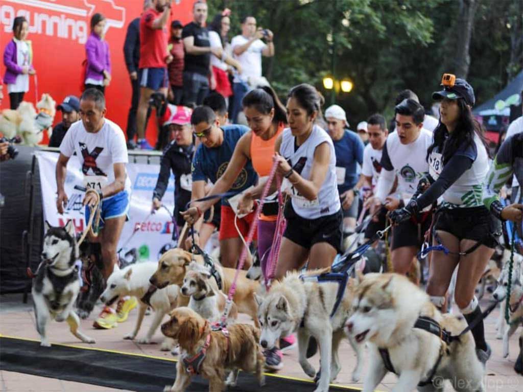 Lánzate con tus perros a la carrera “Perritos en Fuga” en la CDMX ¡Inscríbete!