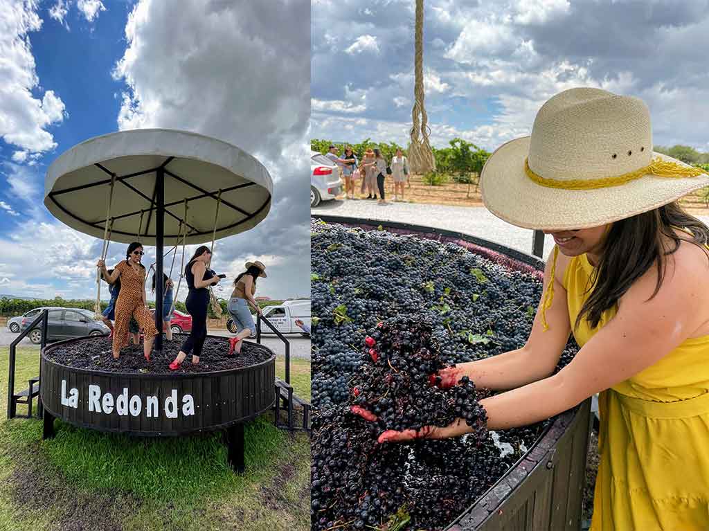 Pisado de uvas en La redonda