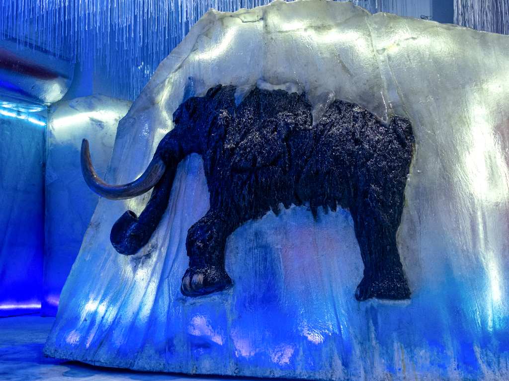 sealand-mamut