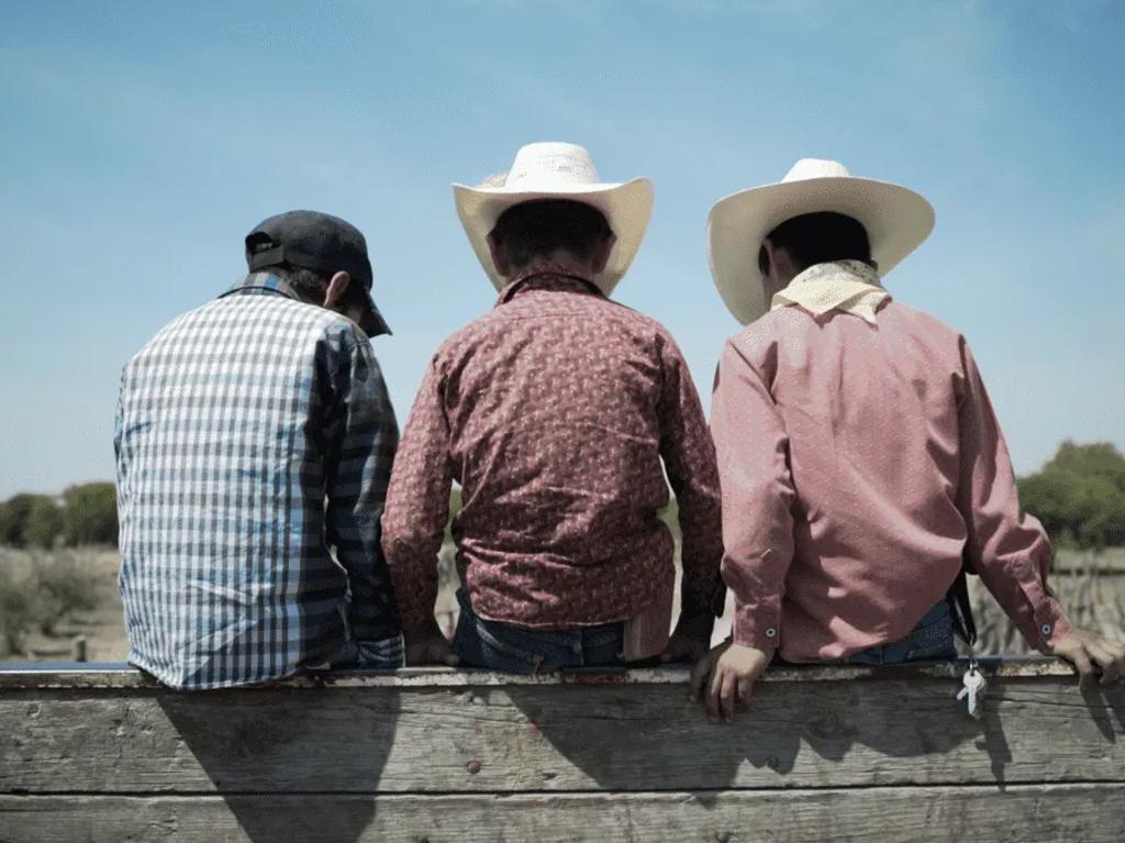 temporada-de-campo-estrena-cines-del-pais