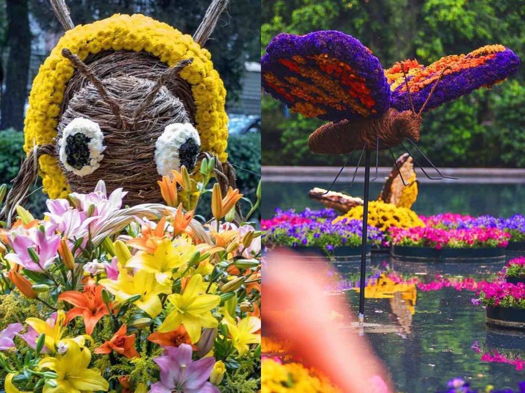 Regresa el Festival de Flores y Jardines a la CDMX tras una pausa de dos  años | Dónde Ir