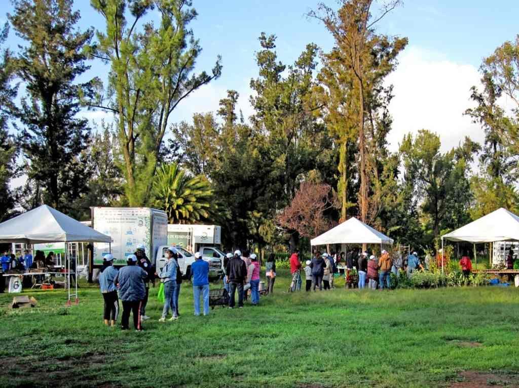 mercado del trueque septiembre-