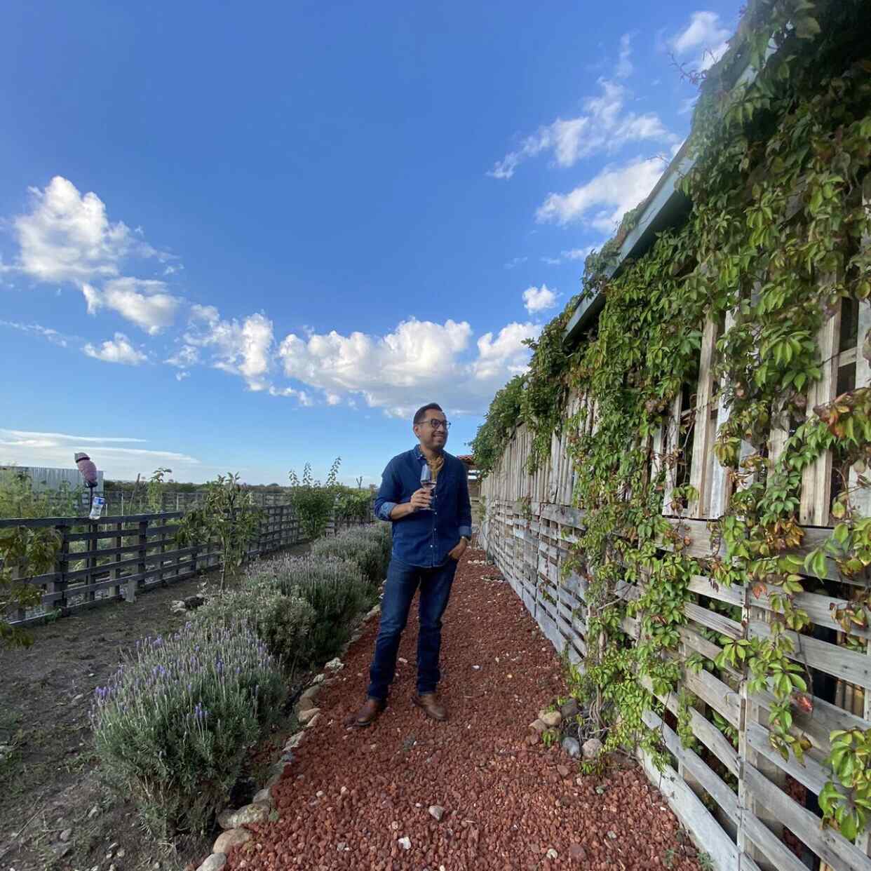 Naakary: un huerto secreto en San Miguel de Allende con experiencias de cocina sustentable 12