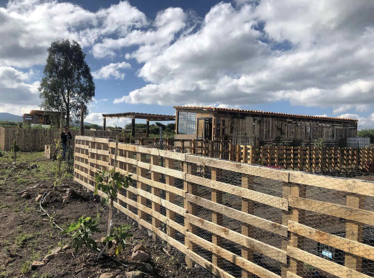 Naakary: un huerto secreto en San Miguel de Allende con experiencias de cocina sustentable 0