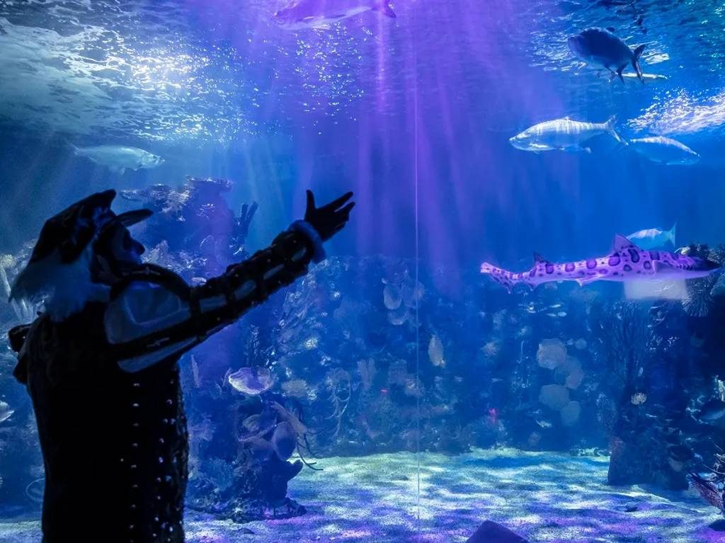 Celebra Día de Muertos en la Noche de Leyendas del Acuario Inbursa