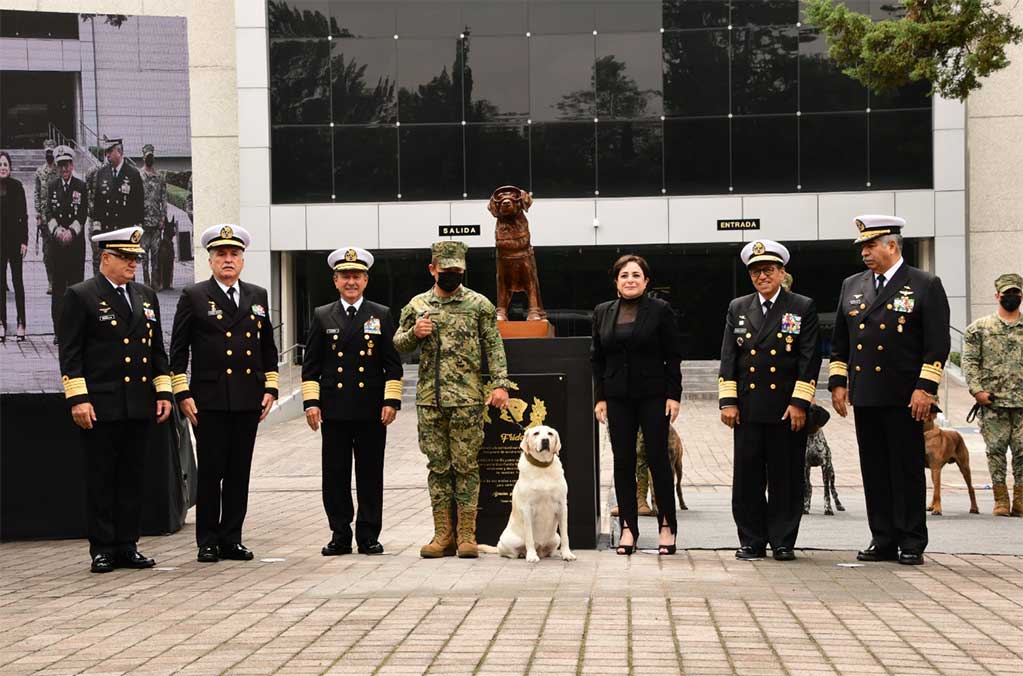 Como homenaje, develan estatua de la perrita Frida ¡Es bellísima! 0