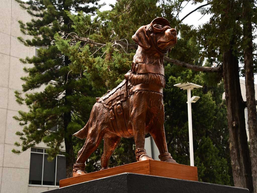 Como homenaje, develan estatua de la perrita Frida ¡Es bellísima!