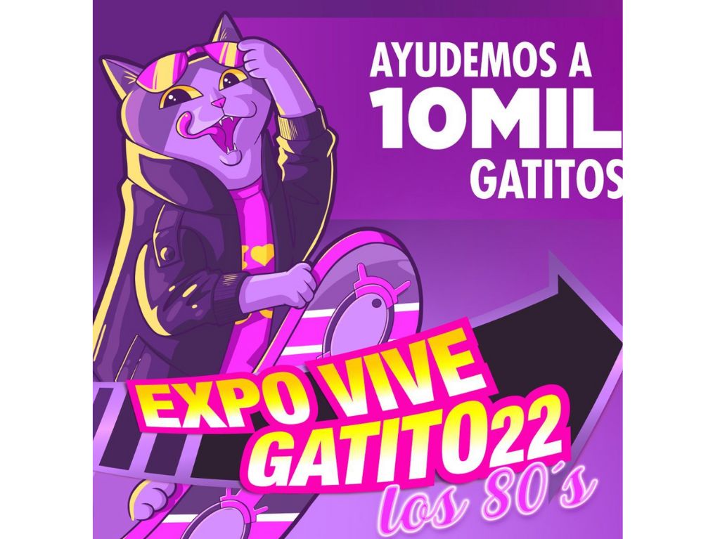 expo-vive-gatito-los-80s-2022