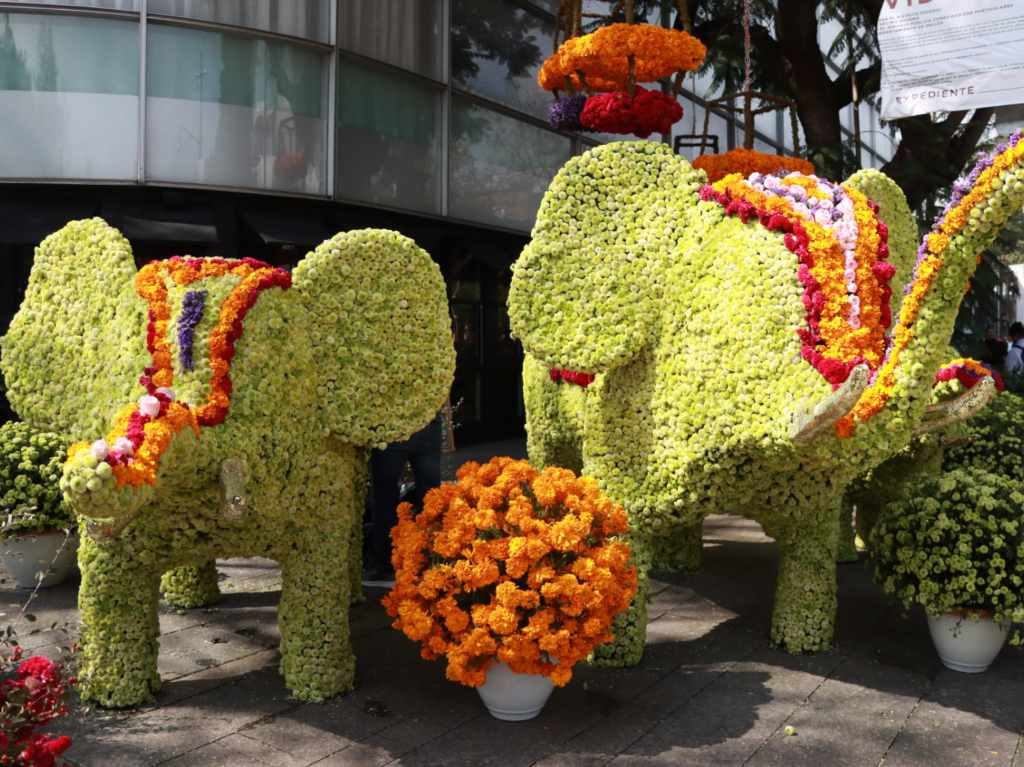 Las instalaciones más bonitas del Festival de Flores y Jardines 2022 (FYJA) 1