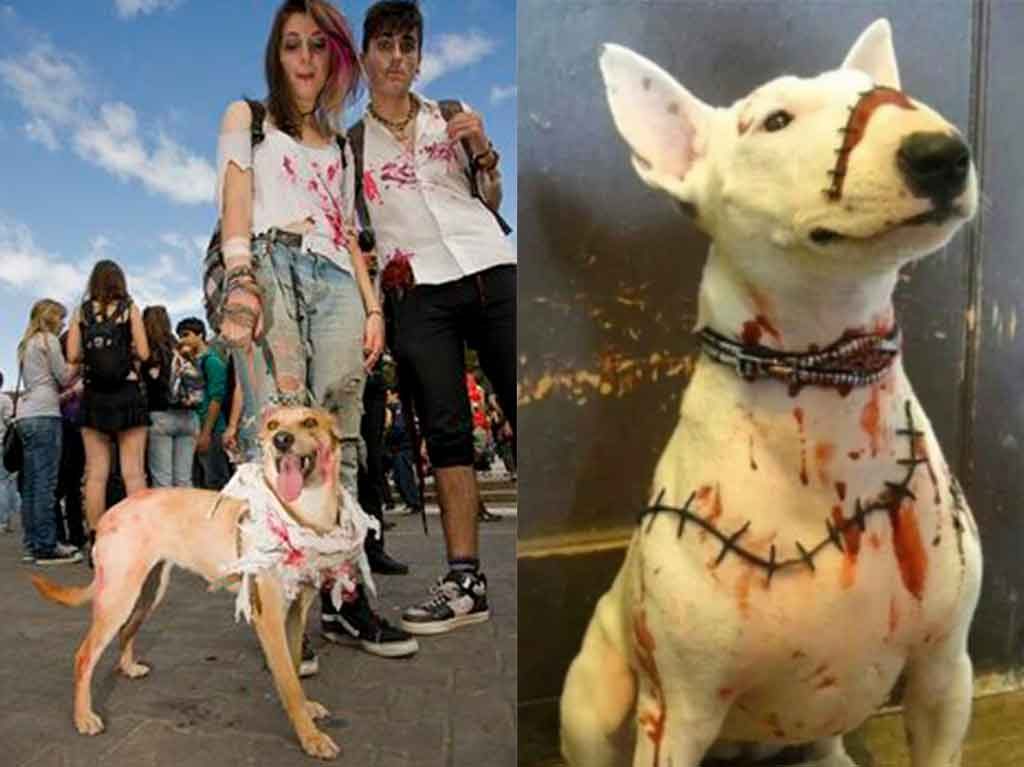 Marcha Legión Zombie Canina en la explanada de la GAM