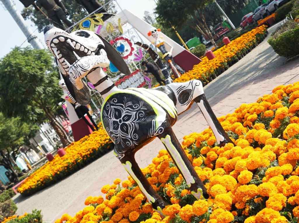 Megaofrenda en Ecatepec con flores de cempasúchil